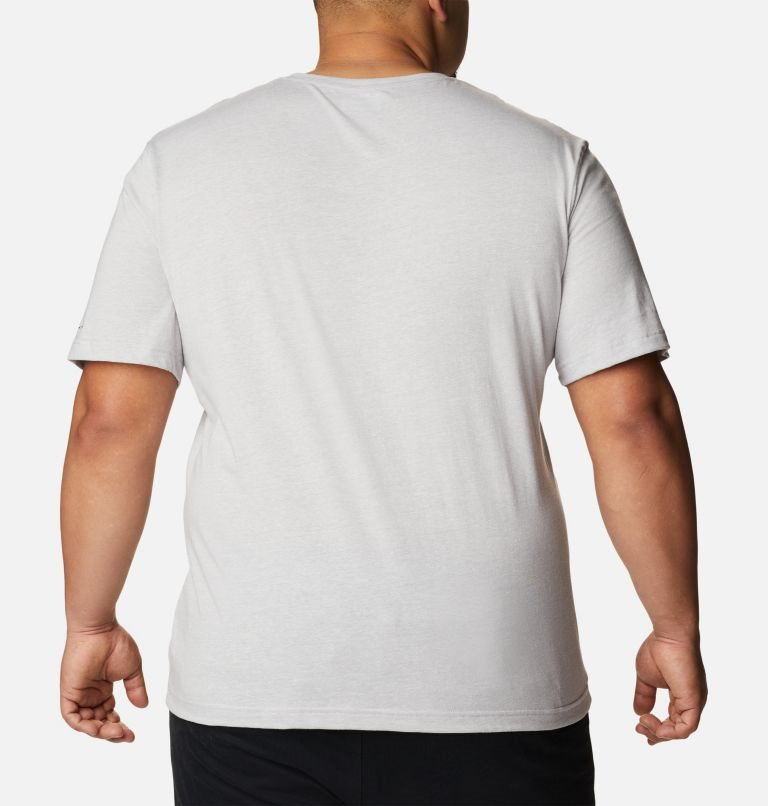 Men's Columbia Thistletown Hills Short Sleeve T Shirts Light Grey | Plus Size CA-SAC08